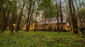 Teakwood villa